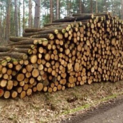 Tronchi di quercia certificati PEFC trasportati su camion